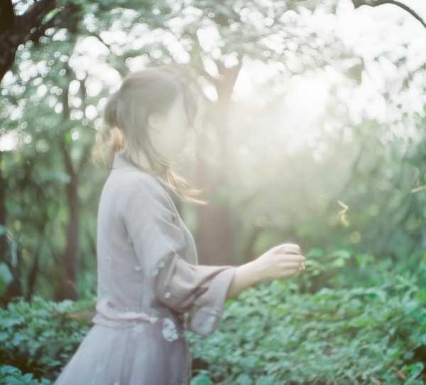 伐檀，古韵悠长的劳动之歌深度解析,深入解读伐檀原文及翻译，古韵悠长的劳动之歌,传承,诗意,诗经,第1张